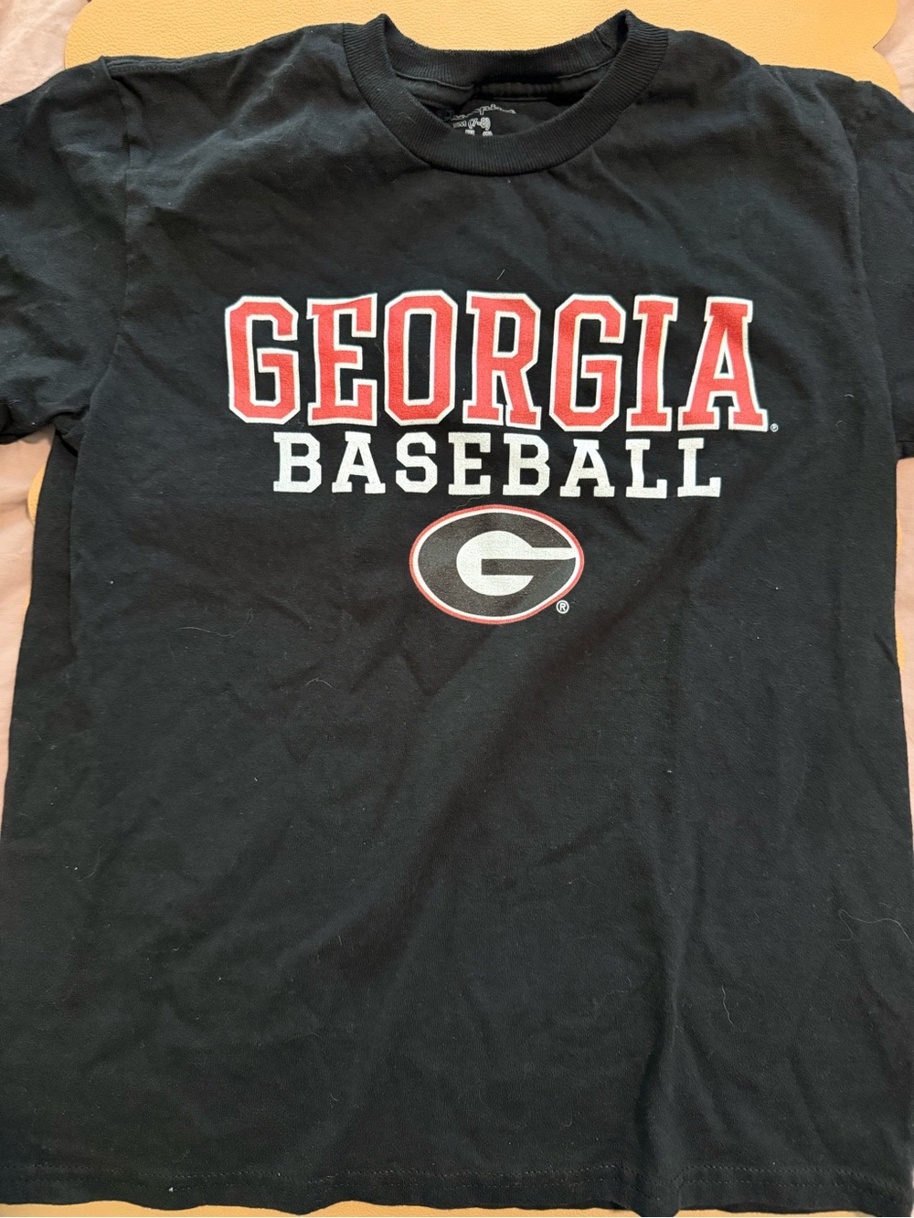 Champion Black Georgia Baseball Tee with Red & White Logo